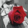 ������ ������� ������ ���������